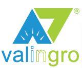 IT, Trading-Farming, Leadership Development Valingro s Mission is Perfecting & Growing global