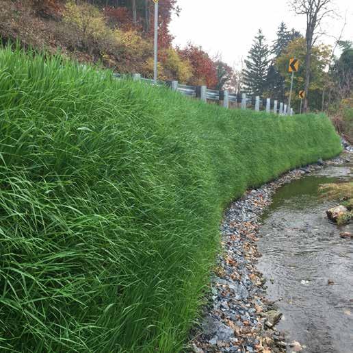 Integrated irrigation system keeps walls looking great Minimize erosion while providing green space and a positive environmental impact LivingWalls can contribute to the LEED points of a project in