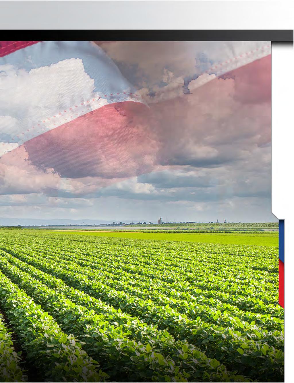 4286NLL SOYBEAN PRODUCTS Freedom to choose. Proven to perform. 4.