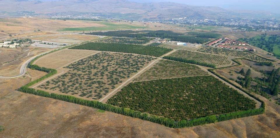Seed Orchards To function properly, they must act as a closed, perfect populations (i.e.,