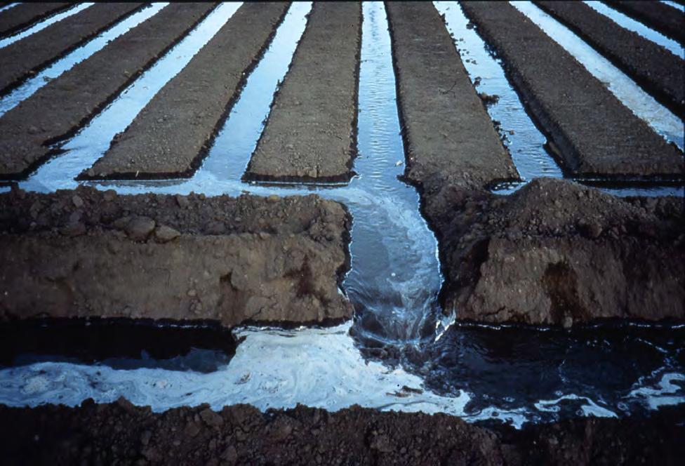 Surface Irrigation Water losses can be