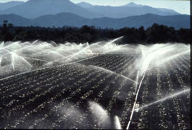 Sprinkler Irrigation Should be minimal runoff losses if designed correctly.