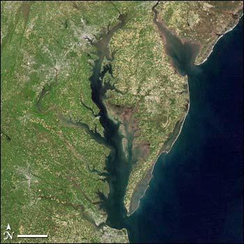 Climate Change and Sea Level Rise Concerns Specific to Estuaries and Coastal Regions Higher coastal water levels and greater salinities Increased water stratification due to rising sea level,