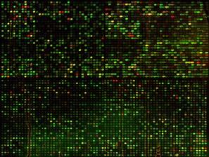 10,000 genes nanoliter volumes