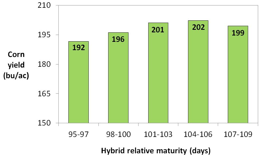 Early maturity hybrids often yield less