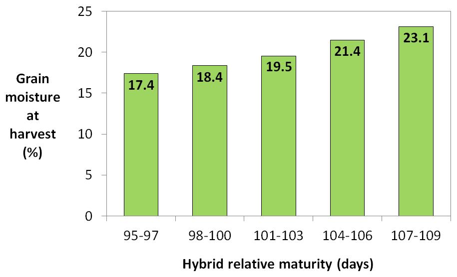 Balance yield potential with harvest moisture