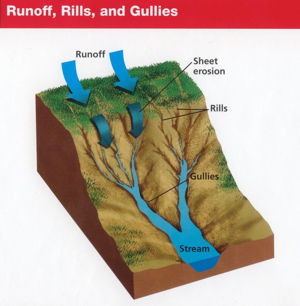 Precipitation and runoff can form channels. Deepen, widen, and get longer with subsequent rains.