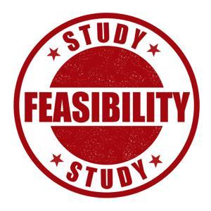 Initial Feasibility Study Feasibility studies are an assessment of whether a proposed business idea will be viable by looking at the current