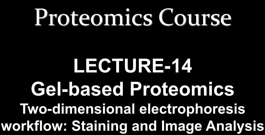 Dr. Sanjeeva Srivastava IIT Bombay Gel-based proteomics 2-DE work-flow 1 Isoelectric focusing (first