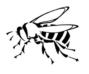 What if a bee stings? Bees sting to protect their swarm and their nest, or if they are trapped by hands, hair or clothes.