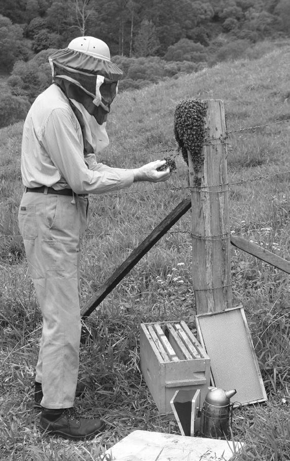 Talk to people experienced in bees. Attend workshops, field days and meetings. Google! There are amazing Australian sites loaded with great info that is relevant & informative.