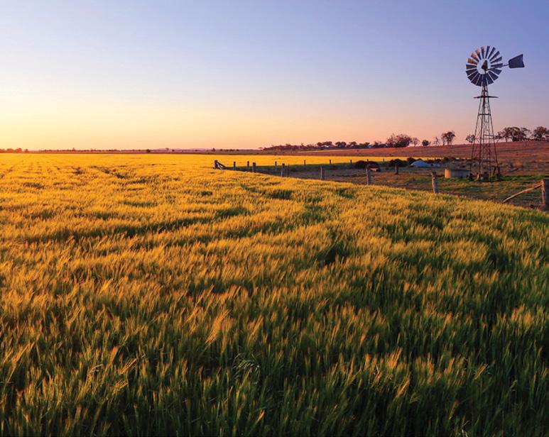 The Premium Food and Agriculture Region Toowoomba is located in the south-east corner of Queensland, Australia.