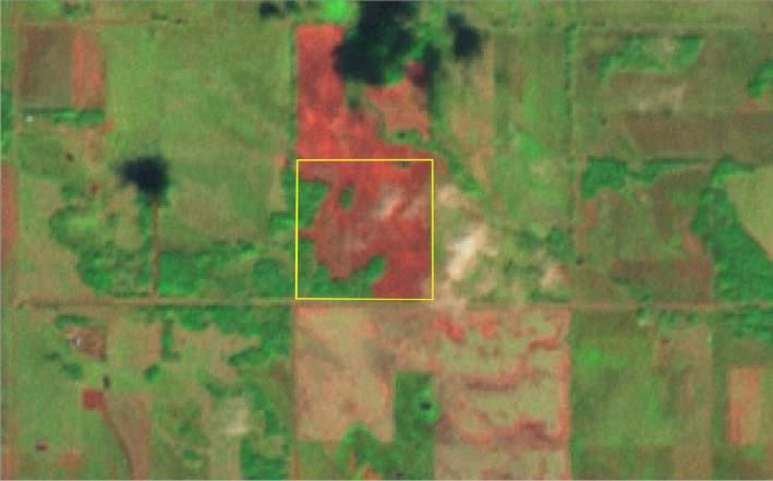 occurred before the cut off date SPOT 5 from 2006 (10 m resolution) and Landsat from 2012 (15 m resolution) confirmed the