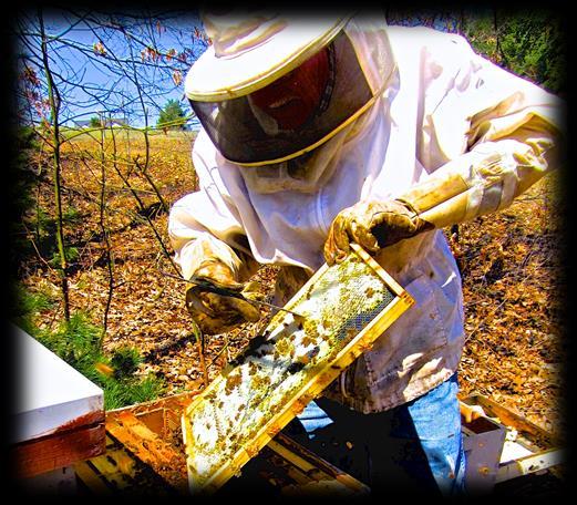 He has kept miticide-free bees for over 25 years and is dedicated to sharing his findings in order to