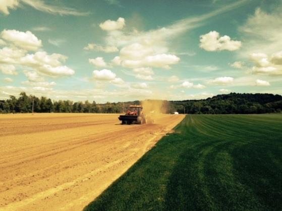 There are a host of other community benefits as reported by the American Farmland Trust s Planning for Agriculture in New York: Economic: Farms provide jobs and support the local economy.