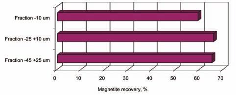 This showed that the magnetite in the -45 +25 µm magnetic concentrate was only 70% fully liberated whereas in the -25 +10 µm magnetic concentrate it was 92% fully liberated.