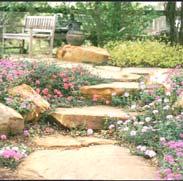 landscaped areas can help reduce water pollution by