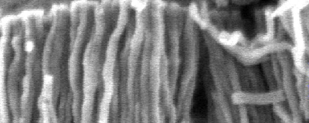 The fibers formed from PVC are solid (Figure 2) and the lattice image