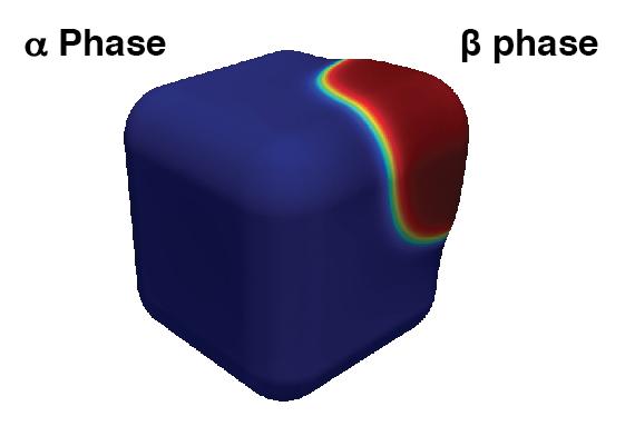 Supplementary Figure 13. Nucleation of the β phase during the phase transformation. The precipitate nucleates at the corner in the phase field simulation.
