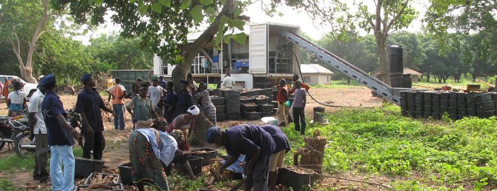 Cassava + Opportunities for Africa s