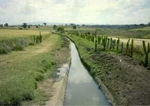 irrigate 20% of its arable