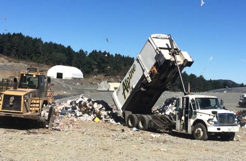 Face (Viewed from Waste Sorting Area) Photo 2: Truck Identified for