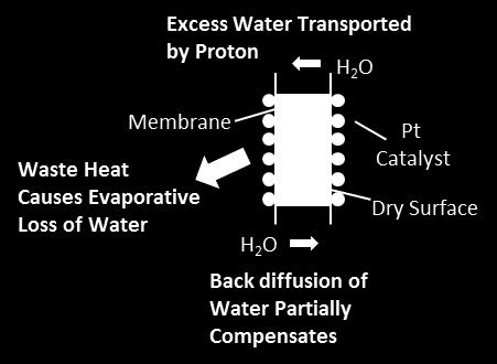 Product Water in PEM Fuel Cell