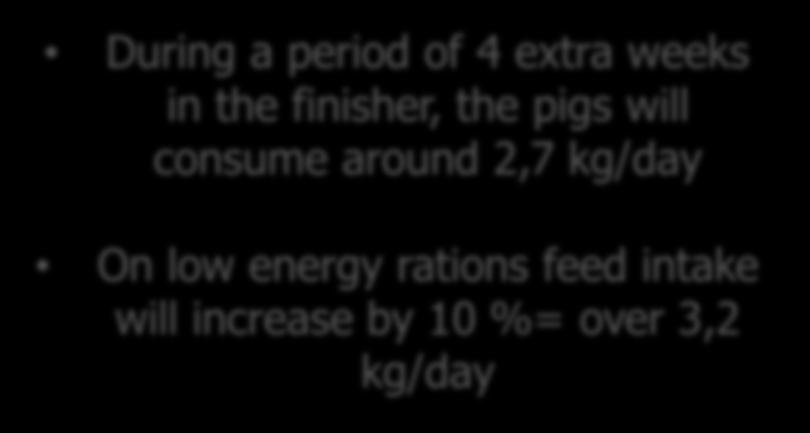 energy rations feed intake will increase by 10 %= over 3,2 kg/day Ensuring enough feed