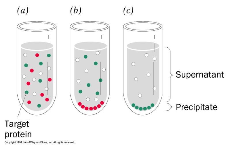 groups of protein Precipitation is reversible and usually non damaging to