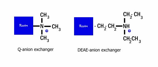 exchanger diethylaminoethyl (DEAE) strong exchanger quatenaryaminoethyl