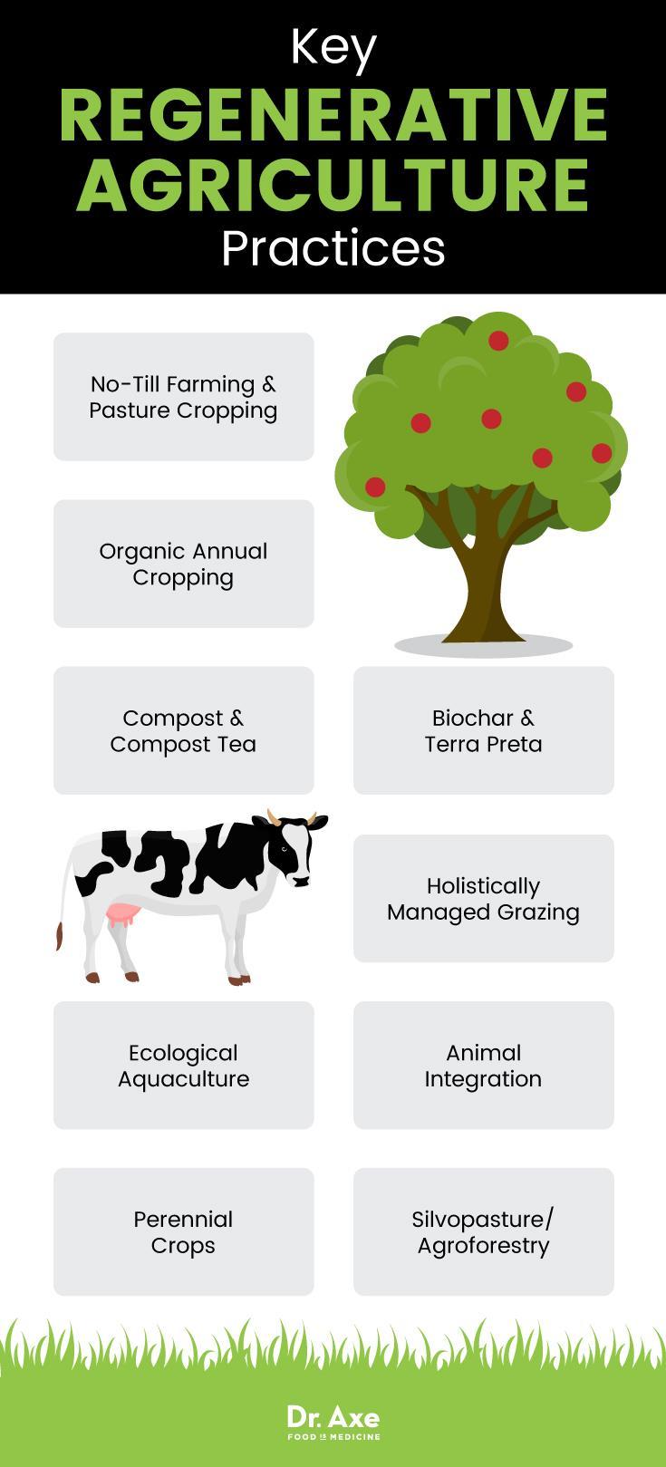 Regenerative Agriculture is the New Sustainability - Focus on soil health versus certification