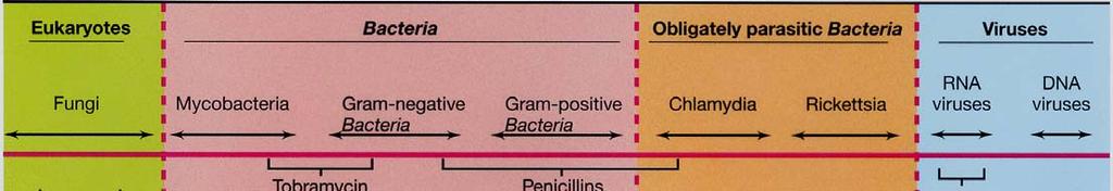 Two broad categories Synthetic agents Antibiotics