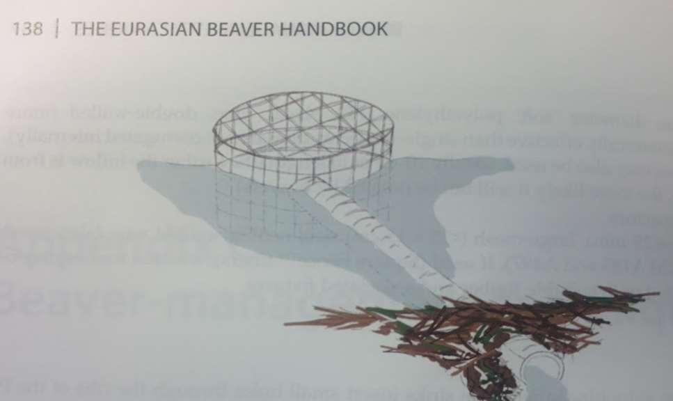 Otter Beaver
