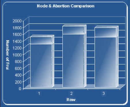 9% more fruit, respectively. Comparing this increase in fruit abortion to the increased number of nodes as shown previously.