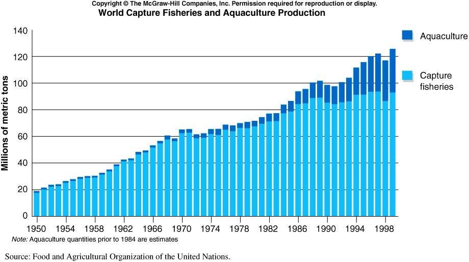 Oceanic Fisheries Number of fish caught rose steadily until 1990 s, but per capita number caught decreased Human population growing faster