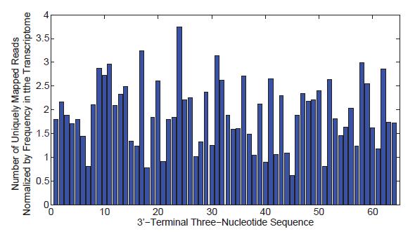 Consider a microrna-seq experiment Normalized Histogram Showing the Occurrence of all Possible 3-base Read