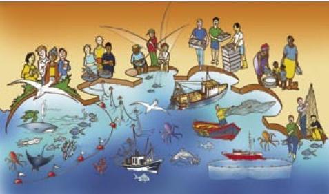 EAF Definition (FAO 2003) EAF purpose is to plan, develop and manage fisheries in a manner that addresses the multiple needs and desires of
