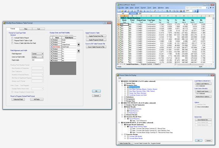 Tabular Output View database tables containing all input data, analysis results, and design results in a tabular format within the SAFE user interface.