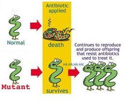 Drug or antimicrobial agent kills susceptible microbes easily. 2.