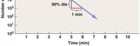 1 A plot of microbial death rate.