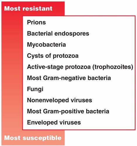 Figure 9.2 Relative susceptibilities of microbes to antimicrobial agents.
