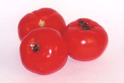 Examples of Genetic Engineering Flavr Savr tomato Bt crops (corn,