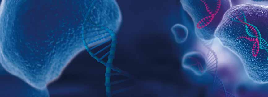 CRISPR Ribonucleoprotein (RNP) User Manual Description This user manual describes how to use GenScript s CRISPR Ribonucleoprotein (RNP) products for targeted genome editing.