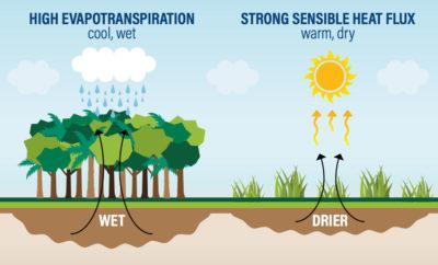 Figure 2: Process of Evapotranspiration Source: World Resources Institute Soy Expansion in the Cerrado Has Replaced Native Vegetation Soy cultivation has expanded extensively during the last two