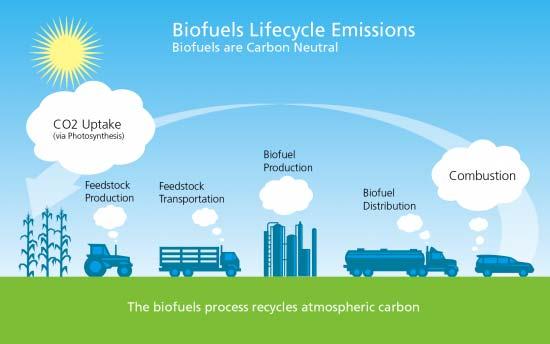 Biofuels are carbon neutral Source: http://www.