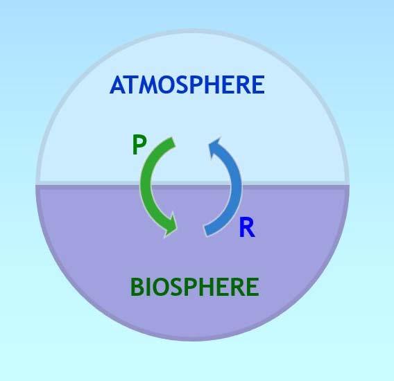 The biosphere is already recycling carbon to and from the atmosphere P = net flow of CO2 from atmosphere into biosphere through photosynthesis (Net Primary Production, NPP) R
