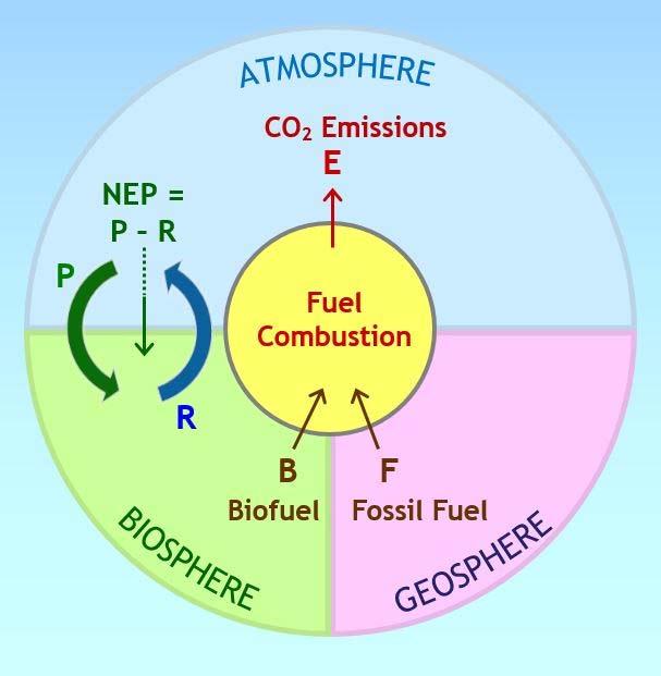 Fuel-related CO2 emissions in the context of the carbon cycle Implication: for biofuels to reduce CO2 emissions, feedstock production must meet a