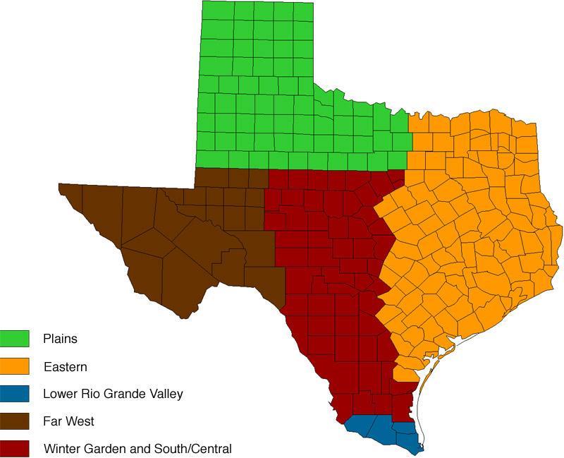 Production Regions Lower Rio Grande Valley The most intense horticultural production within 4 Counties: Cameron, Hidalgo, Willacy, Starr 65,000 acres (26,300 - H