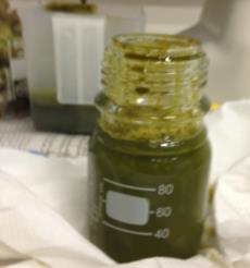 Methodology Sugar analysis Washed Salicornia Unwashed Salicornia Juicing Fibers Dry matter and ash content analysis Dry matter and