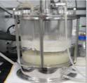 Bioethanol produced from microalgae Resource Feedstock Product Enzymatic hydrolysis Water N-source Minerals Algae